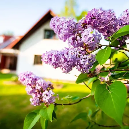 Casa vacanze Maňava Lipno *