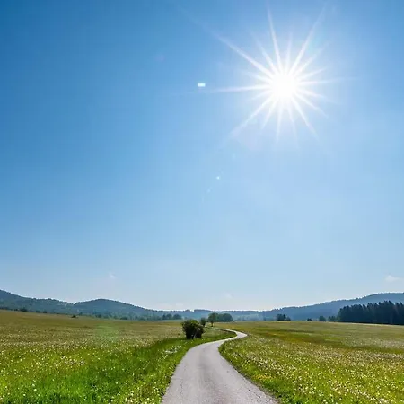Maňava Lipno Horní Planá